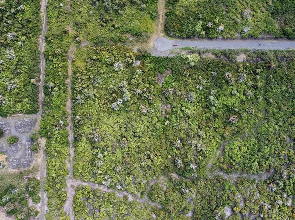 87-4049 Aukele Pl Lot 11, Captain Cook, HI 96704