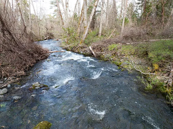 15150 Water Gap Rd, Williams, OR 97544
