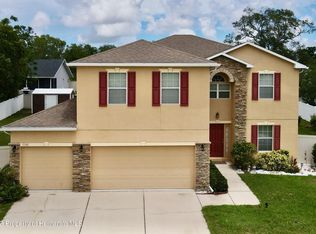 11161 Sedgefield Ave, Spring Hill, FL 34608