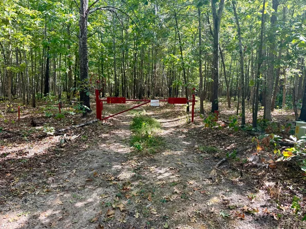 196 Forest Rd 9673, Fremont, MO 63941