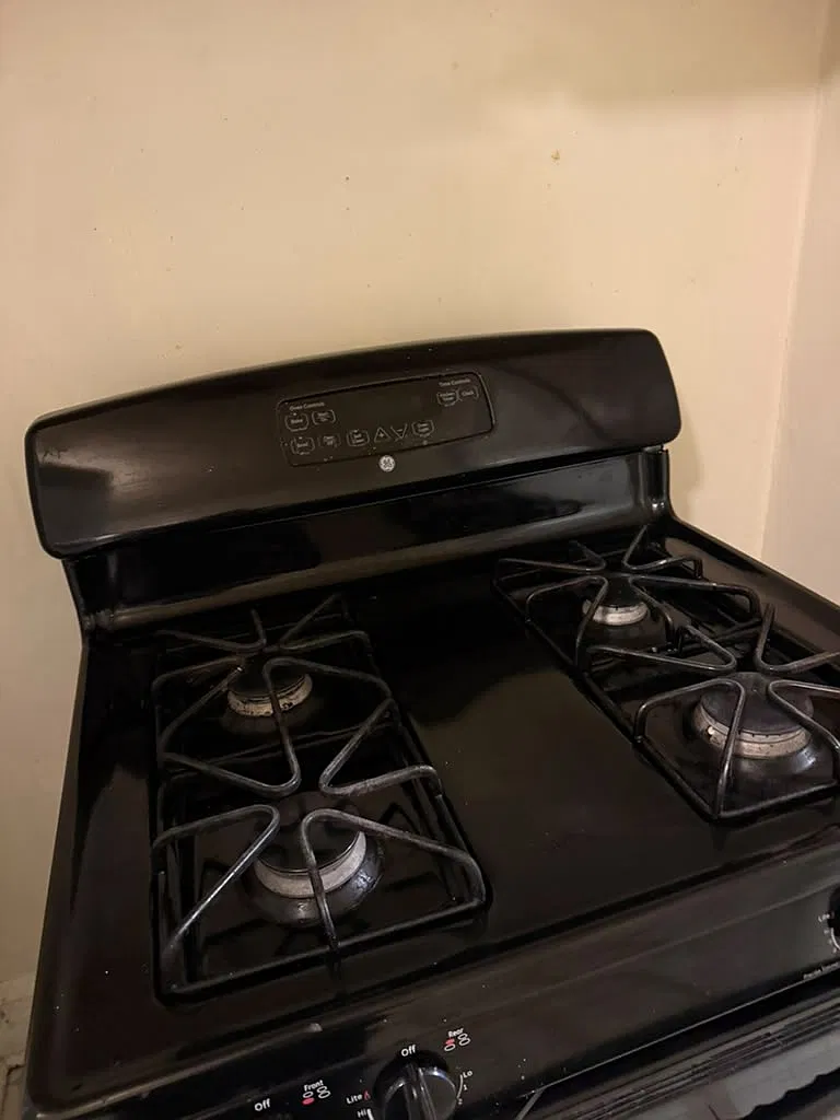 1 bed, $850 — Photo 3