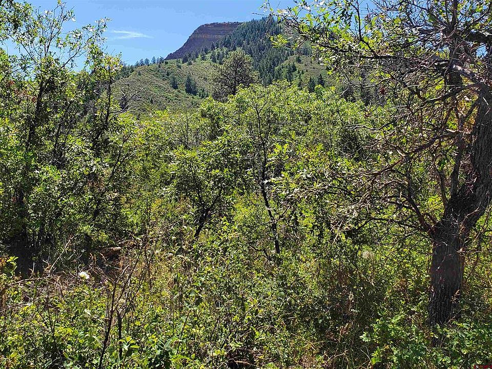 1st image of 476 Blue Jay Circle