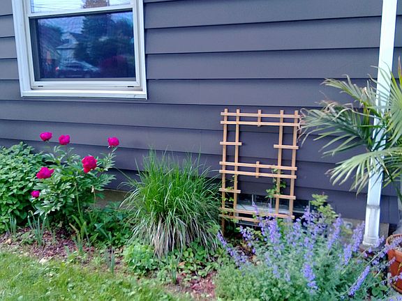 Side Garden