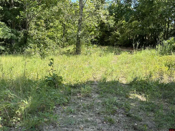 001-03473-001 Bammy Dr, Harriet, AR 72639