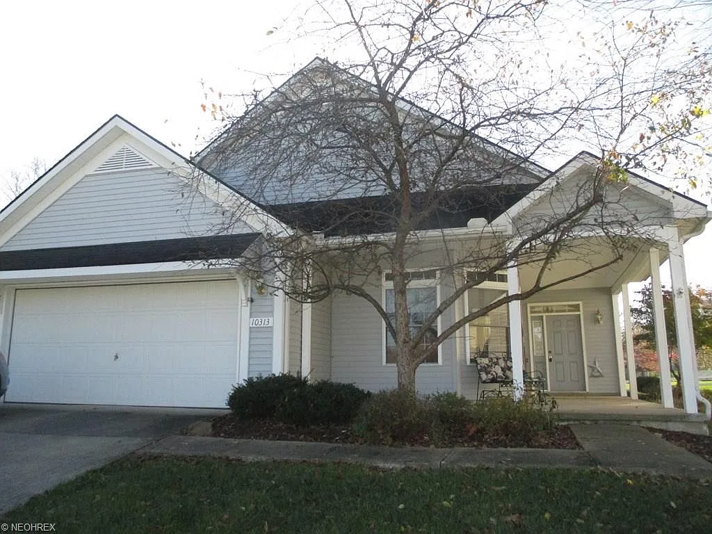 10313 River Run Ln photo 1