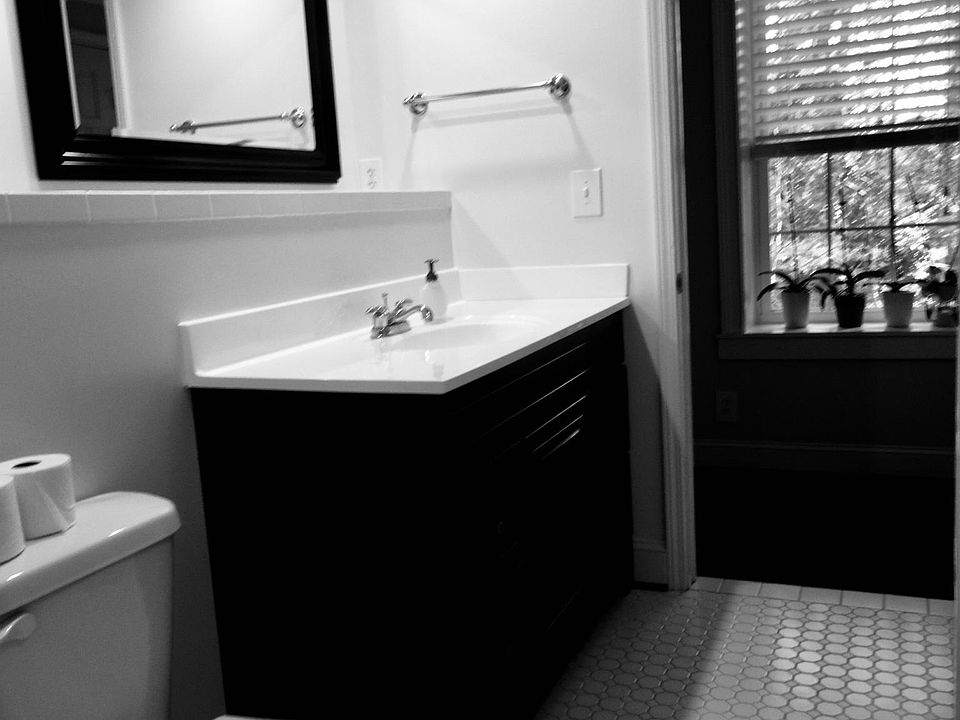 bathroom, shower is across from commode