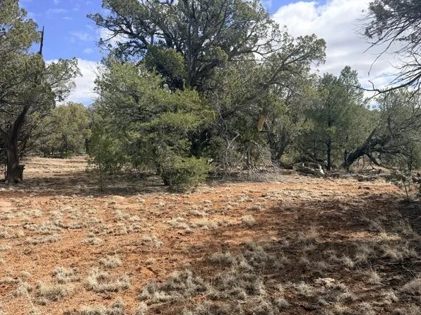 LOT 128 Forest Ln, Seligman, AZ 86337