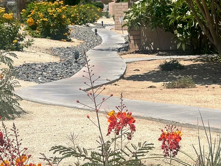 Community desertscape walking path