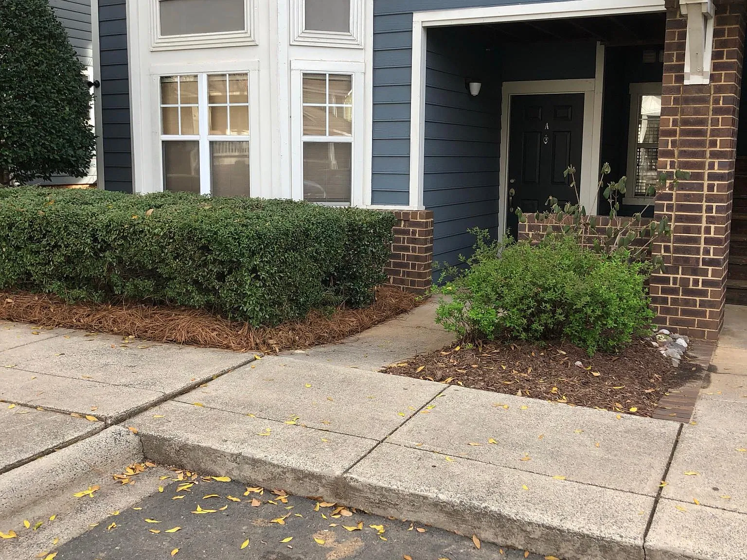 501 Olmsted Park Pl — Photo 3