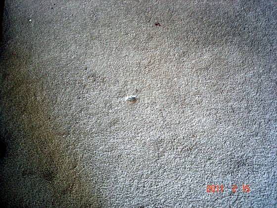 1st image of 56B N Bedford St