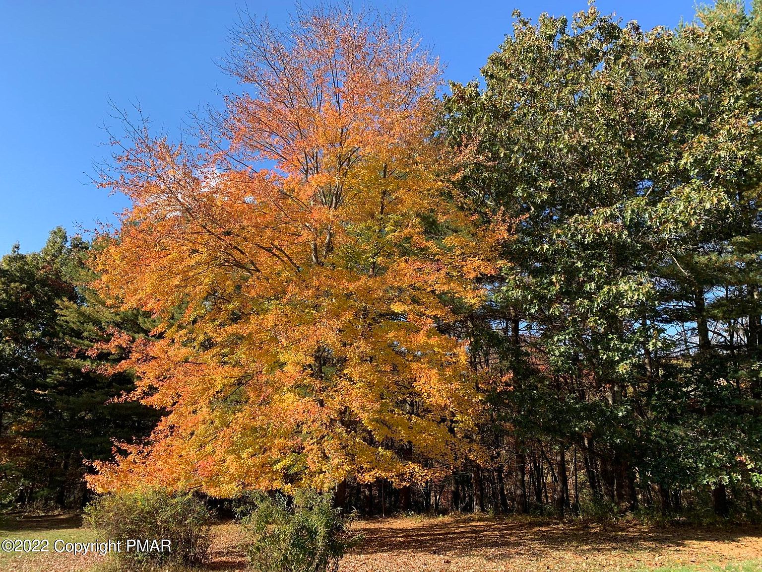 4 Jackson Rd, Reeders, PA 18352 MLS PM101720 Zillow