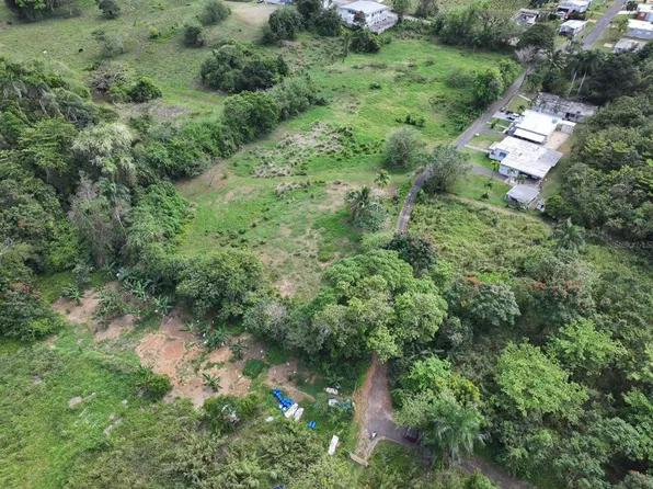 Carr #448, Camuy, PR 00627