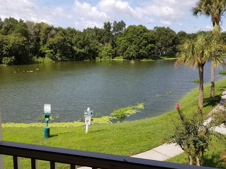Waterfront view