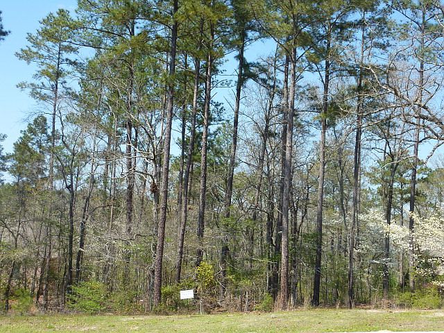 1st image of 4044 Woodside Plantation Dr