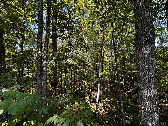 3rd image of 8 Nickland Lot Dr