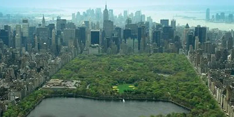 Rented by Camhi NYC Realty Inc | media 34