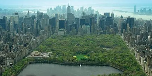 Rented by Camhi NYC Realty Inc