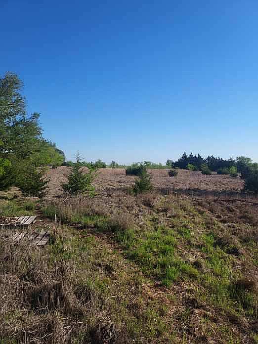 2nd image of 110050 NE 90th St