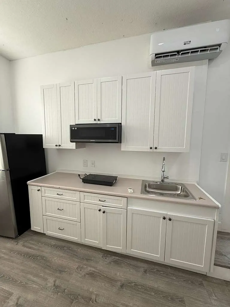 1 bed, 230 sqft, $1,300 — Photo 3