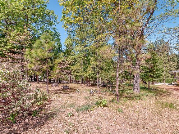 4th image of 1616 Sandalwood Dr #15