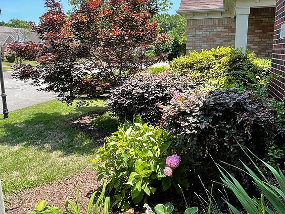 beautiful landscaping