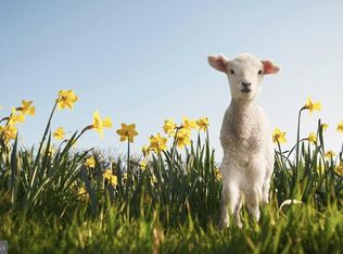 LOT Hazlettville Rd, Hartly, DE 19953