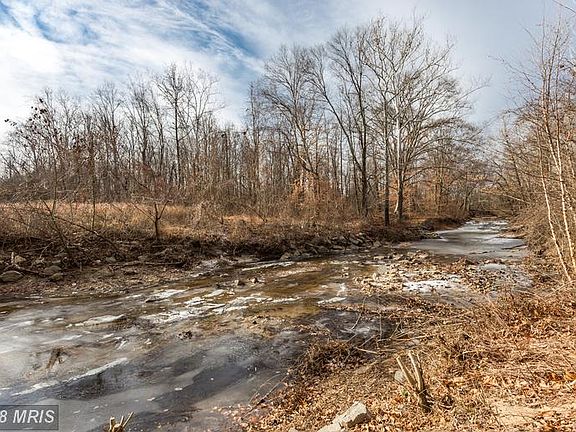 Backs to Trees w/views of Pohick Creek