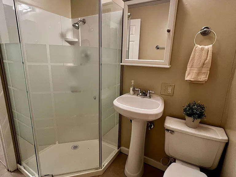 Basement bathroom with stand-up shower