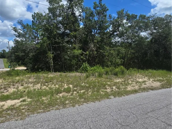 2485 W Braganza St, Citrus Springs, FL 34433