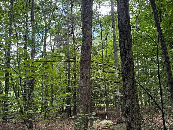 3rd image of 940 Iron Kettle Rd