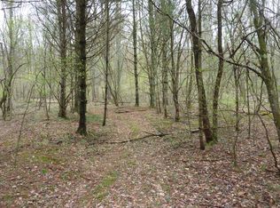 Tbd Butterfly Rd, Laurel Fork, VA 24352