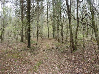 Tbd Butterfly Rd, Laurel Fork, VA, 24352