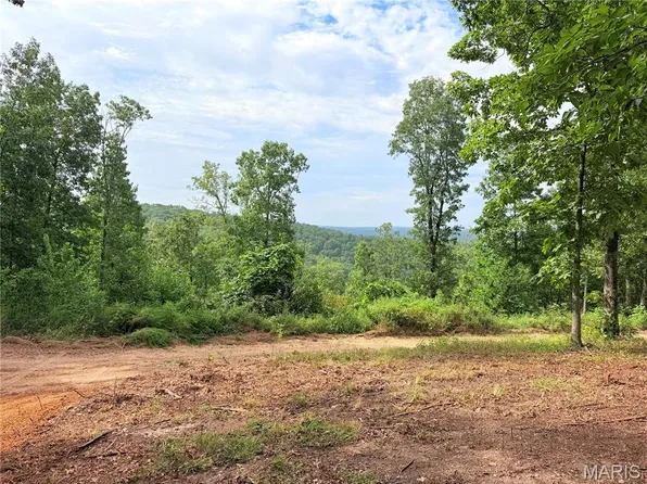 County Road 453 Lots 393 394 395 396 & 729 730 #731, Piedmont, MO 63957