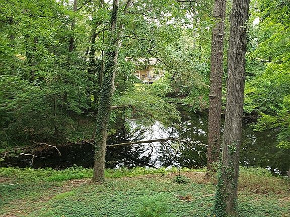 Backyard Martin Pond