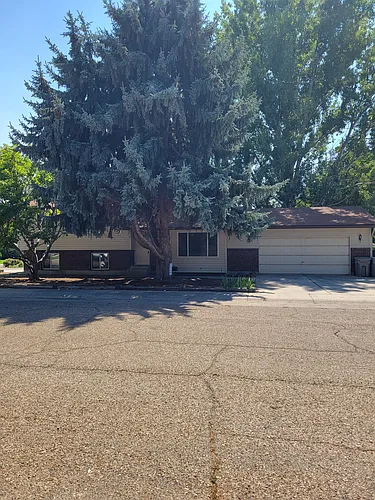 2425 Wildflower Dr Photo 1