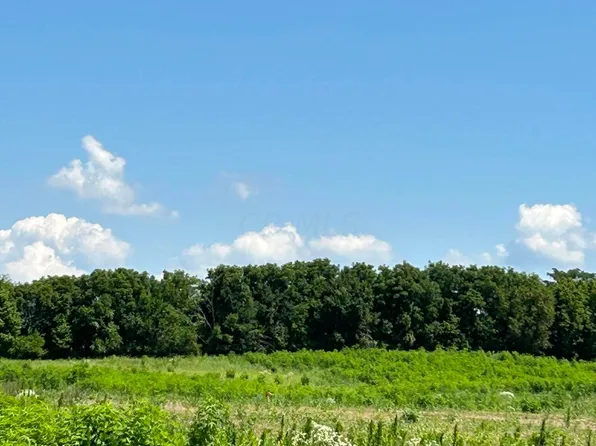 0 Dingess Rd Lot 3, Circleville, OH 43113