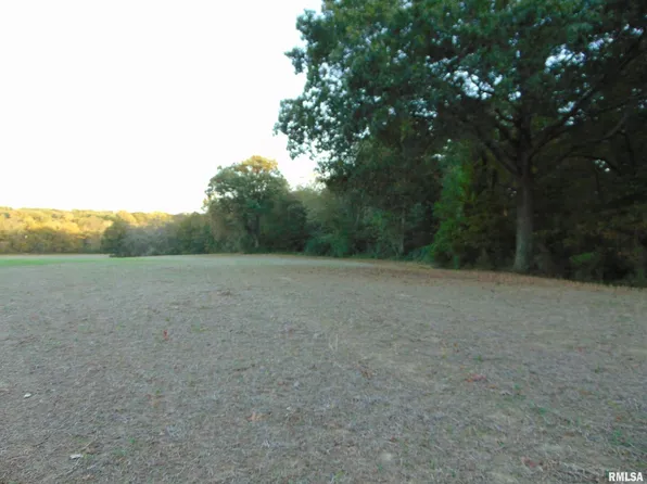 3048 Marlboro Rd, Ava, IL 62907