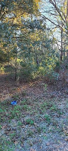 2nd image of Fisher Court Way