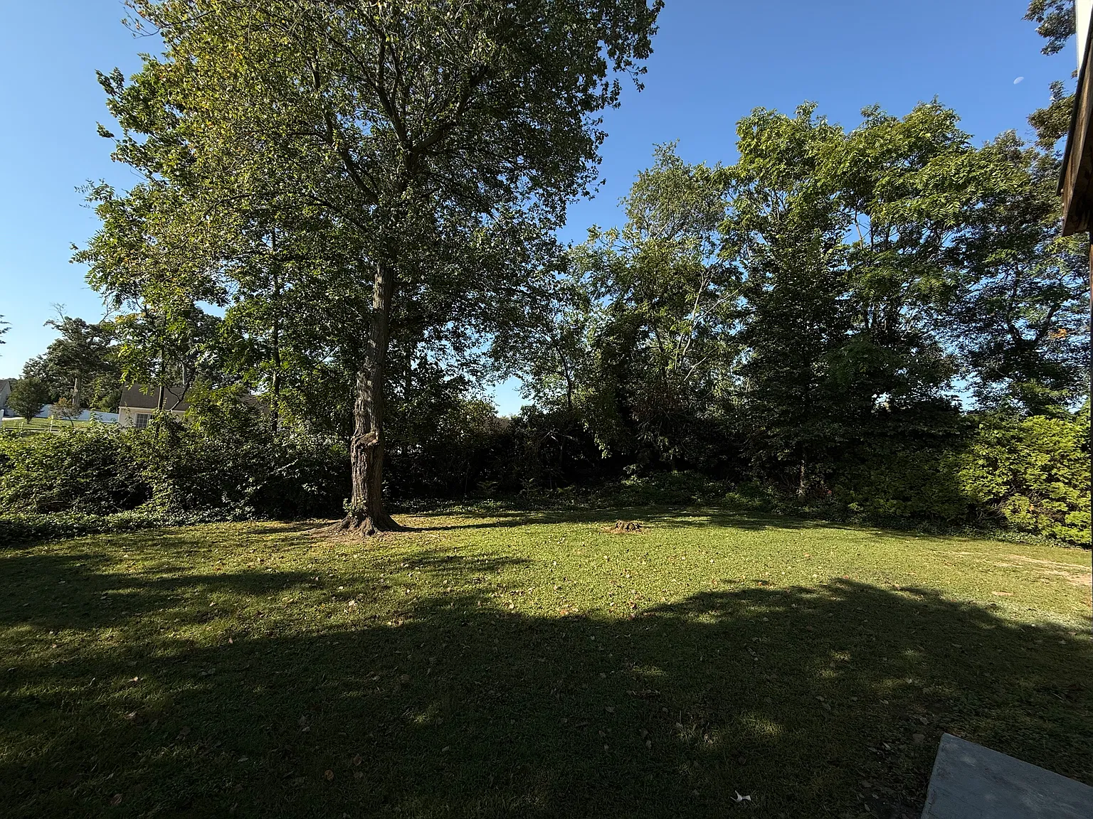 2 bed, $1,950 — Photo 3