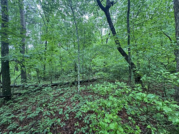 2nd image of 18 Avenue Lot 6