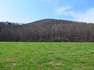 2475 Woods Gap Rd, Woolwine, VA 24185