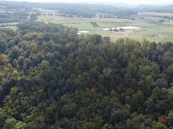 Cedar Branch Rd, Forest Hill, WV 24935