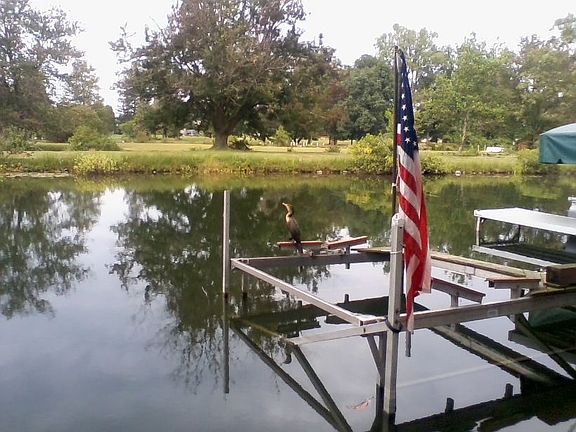Bass Boat lift and Dock 