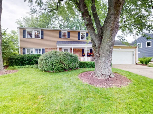 229 N Braintree Dr, Schaumburg, IL 60194
