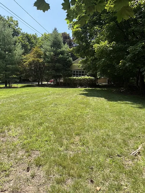4 bed, 1160 sqft, $5,500 — Photo 3