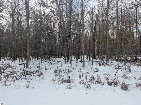 N/a Georgia Edna Ln #33, Prescott, MI 48756