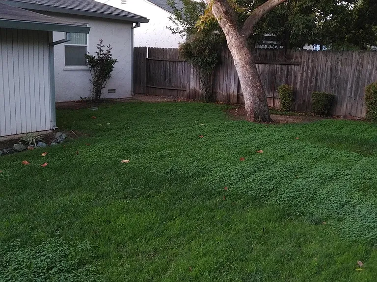 423 E Barrymore St — Photo 5