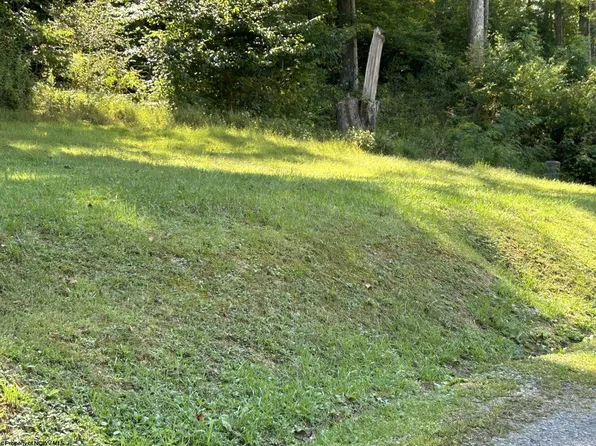 LOT 1 E Run Cir, Four States, WV 26572