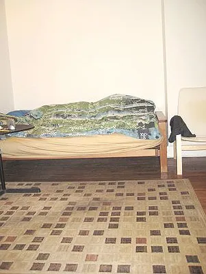 Rented by Segallis Real Estate | media 41