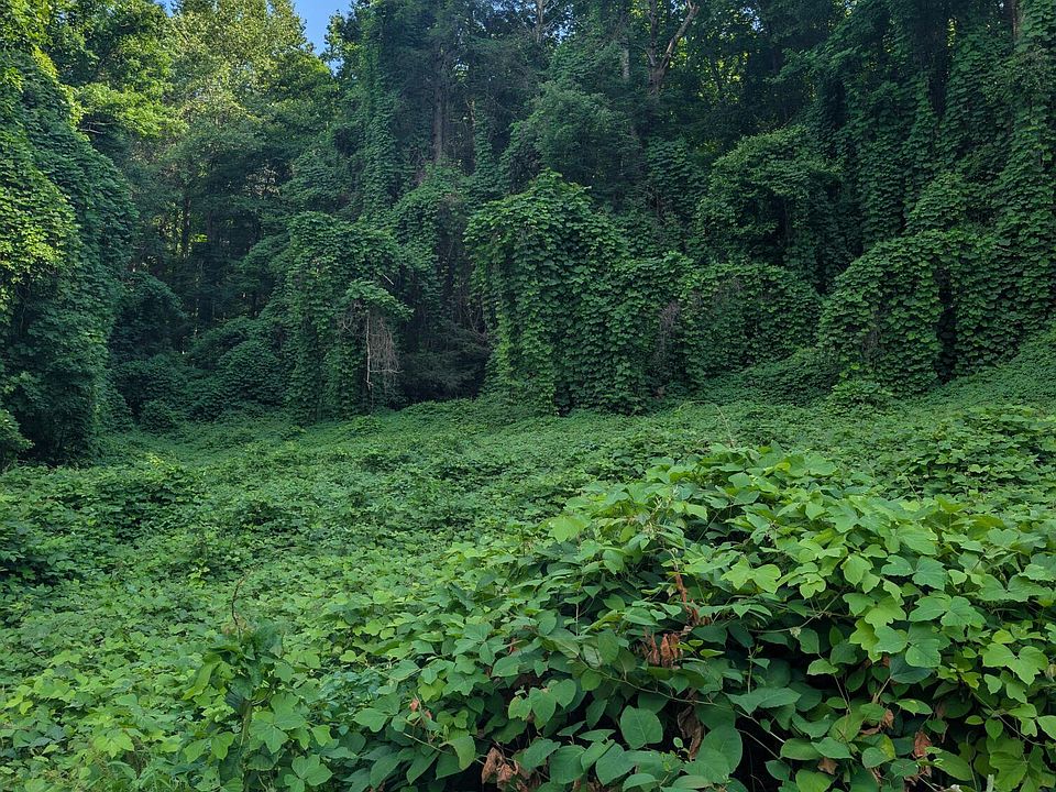 2nd image of 1577 Beans Fork Rd